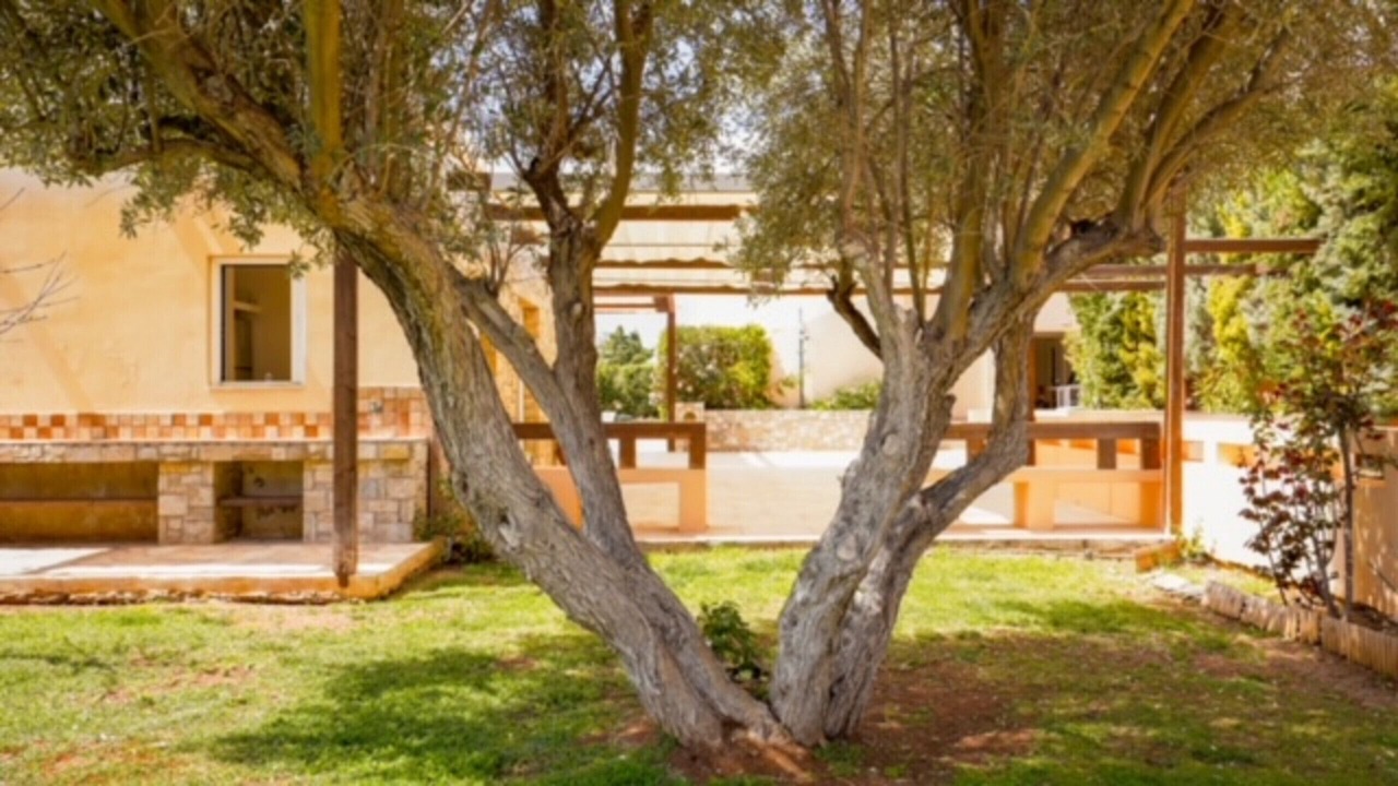 Photo of Outdoor in Anavyssos
