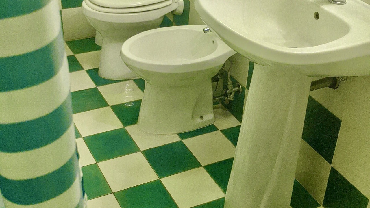 Photo of Bathroom in Riano