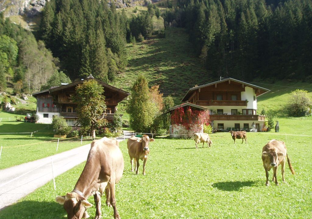 Photo of Outdoor in Mayrhofen