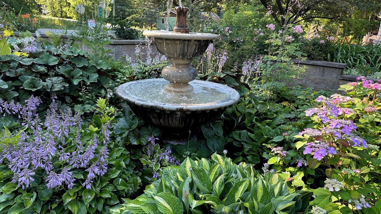 Photo of Outdoor in Lake Ann