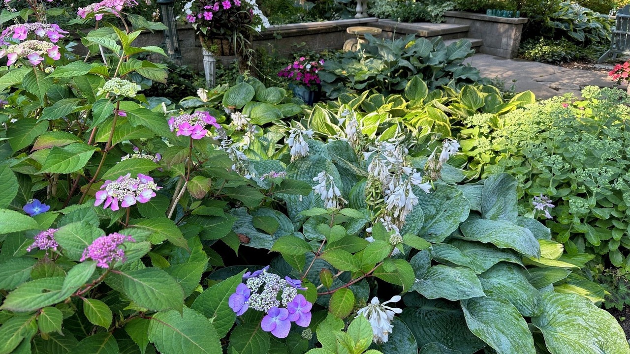 Photo of Outdoor in Lake Ann