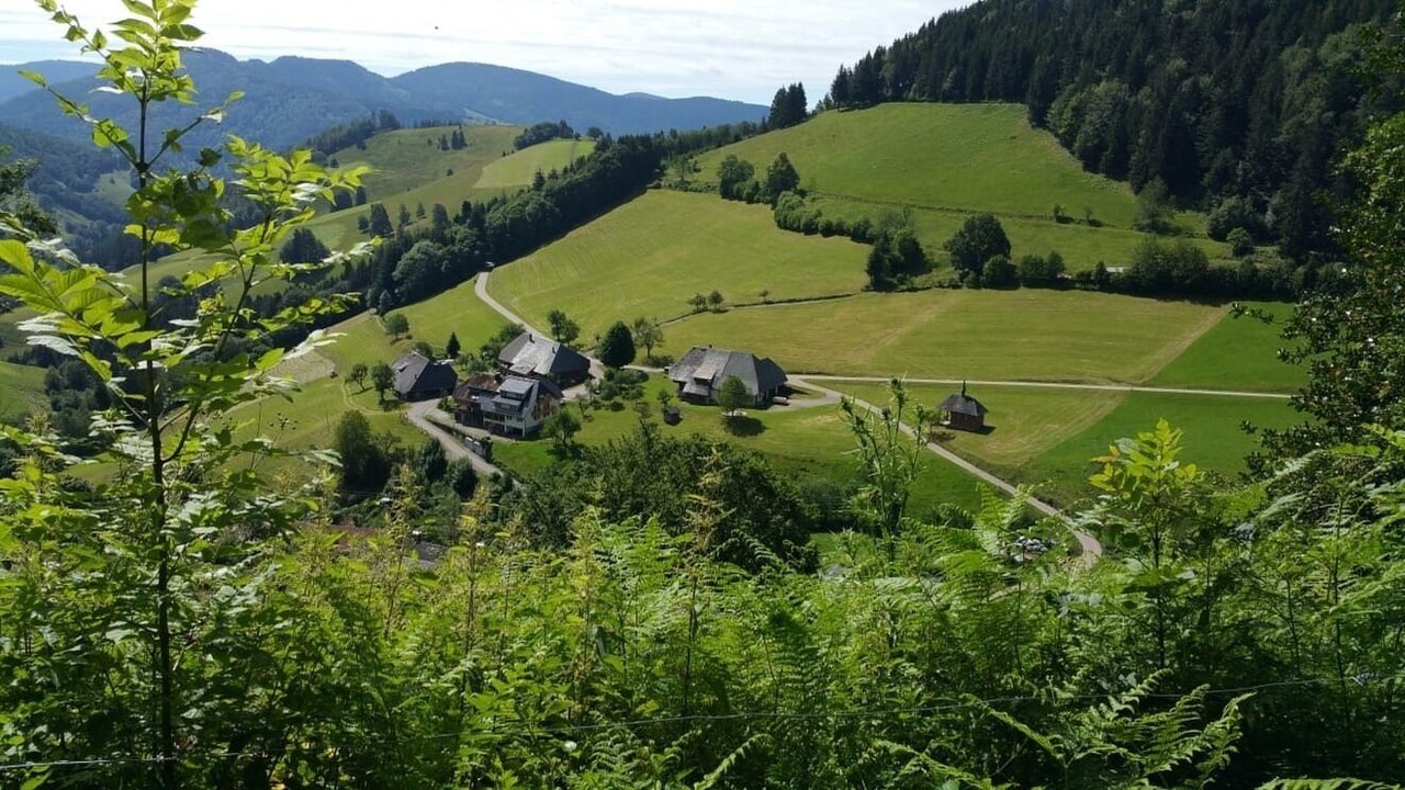 Photo of Outdoor in Schonenberg