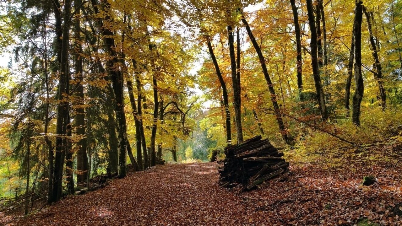 Photo of Outdoor in Schonenberg