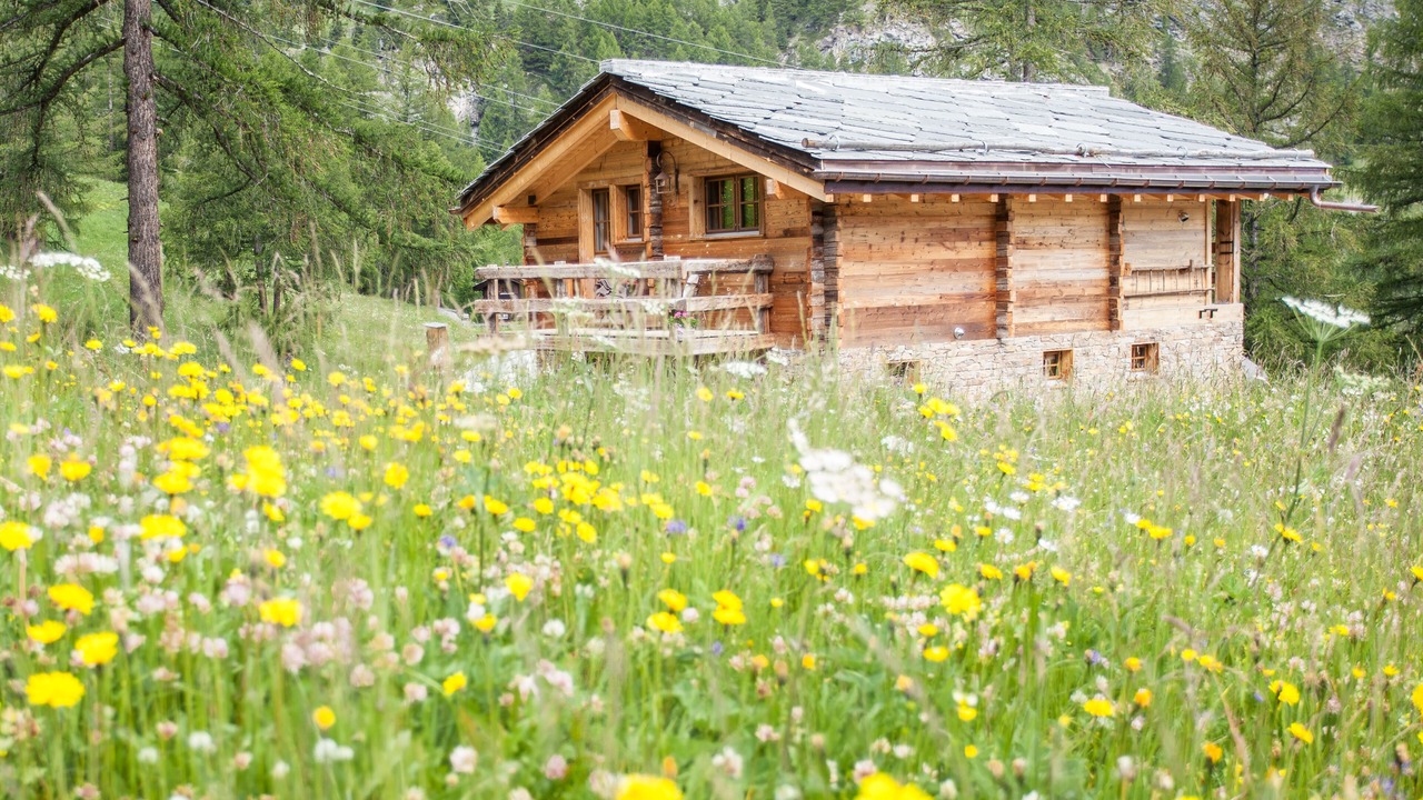 Photo of Outdoor in Zermatt