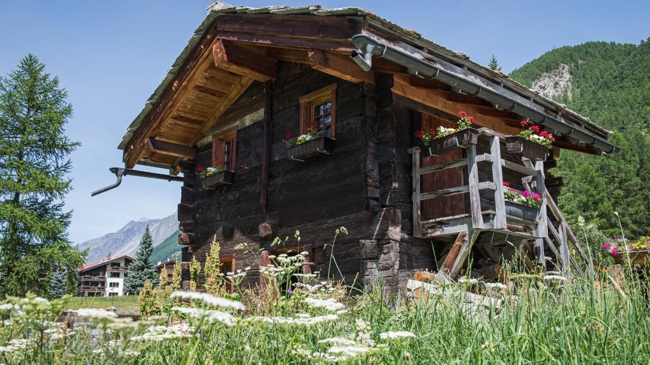 Photo of Others in Zermatt