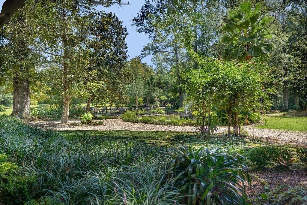 Photo of Outdoor in Covington