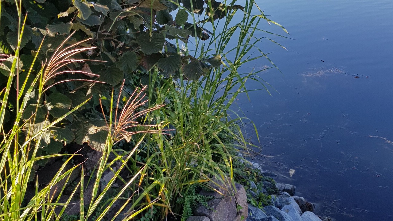 Photo of Outdoor in Ketsch