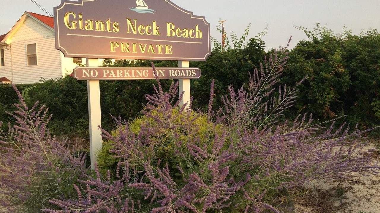 Photo of Others in Niantic