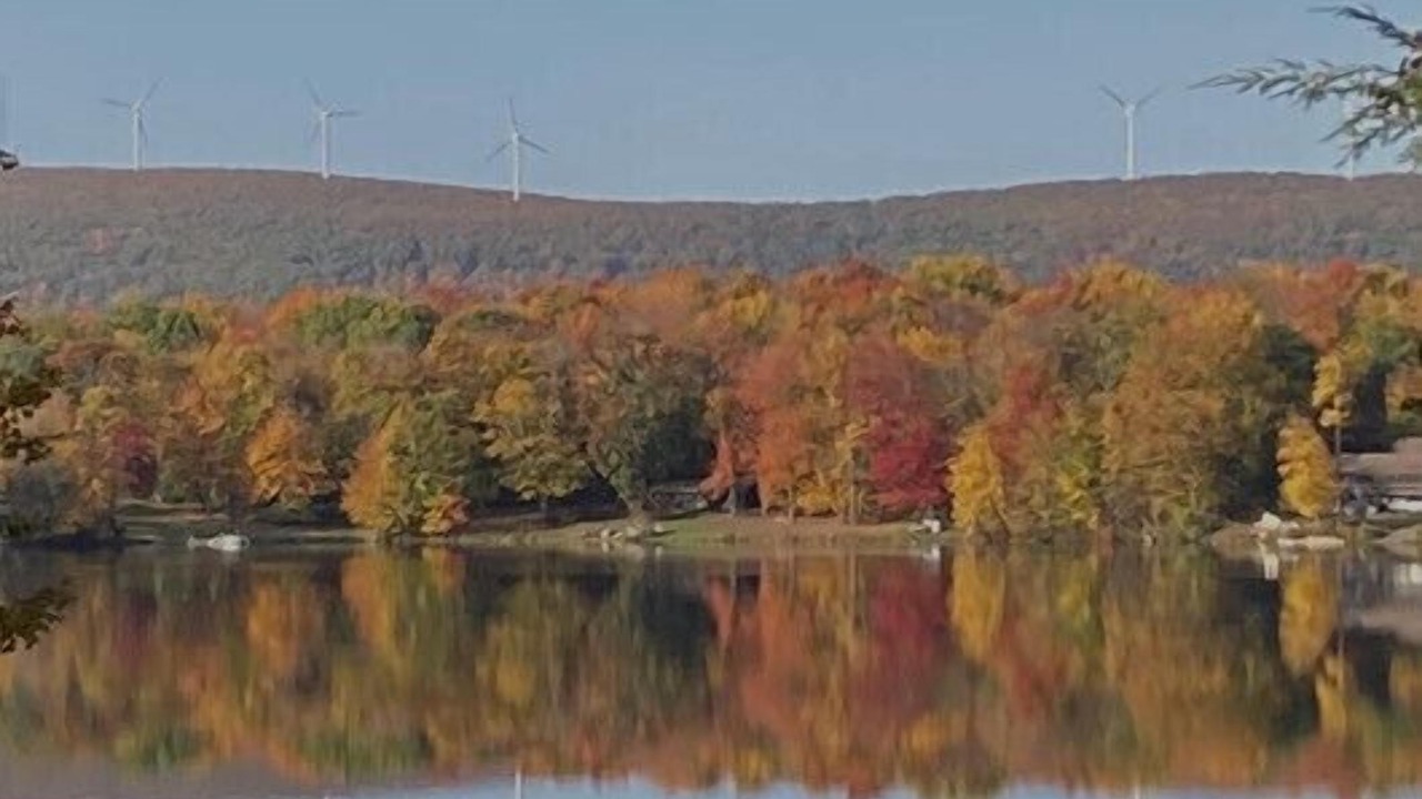 Photo of Outdoor in Aldenville