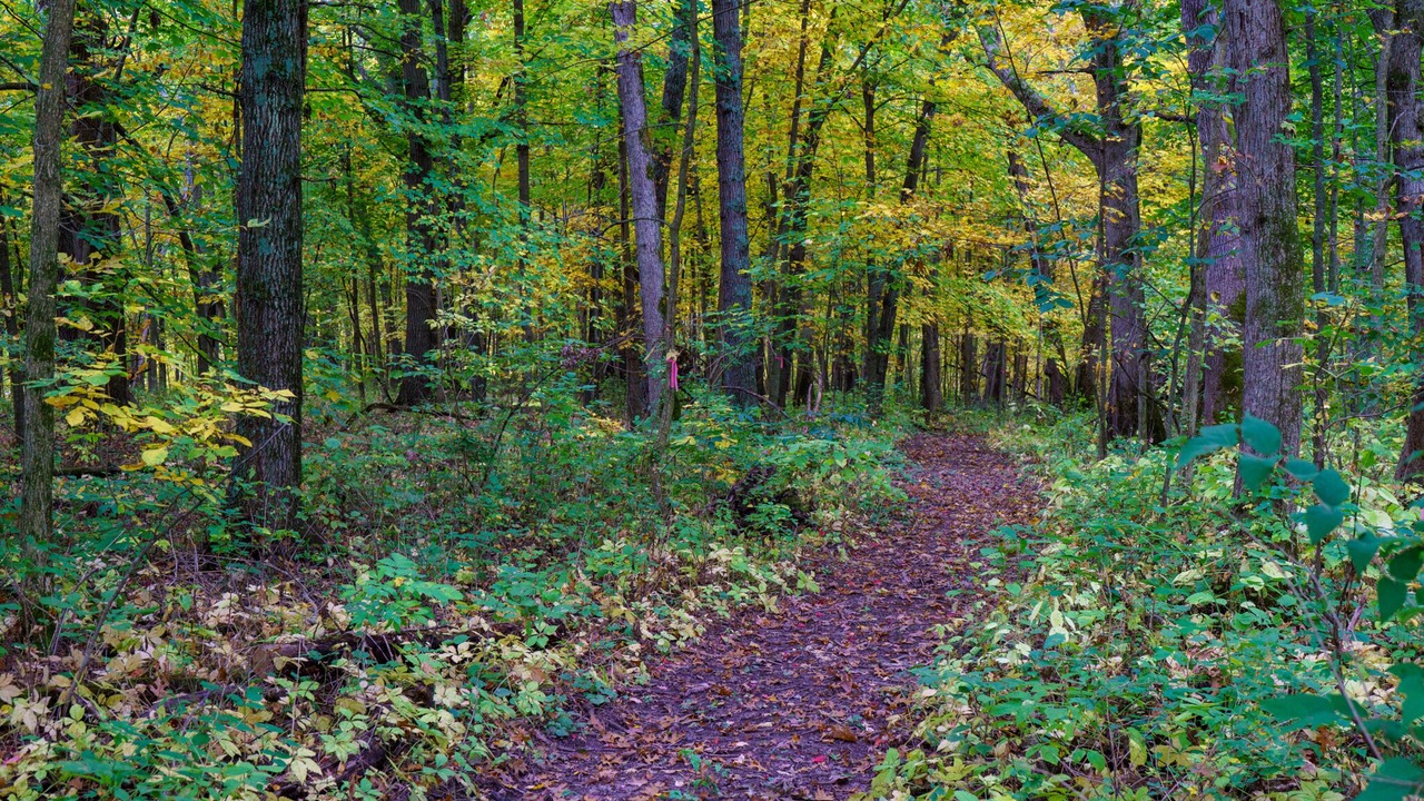 Photo of Outdoor in Viroqua