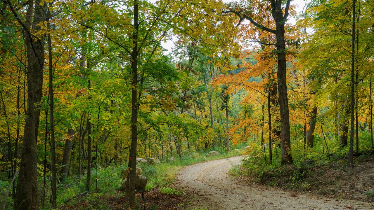 Photo of Others in Viroqua