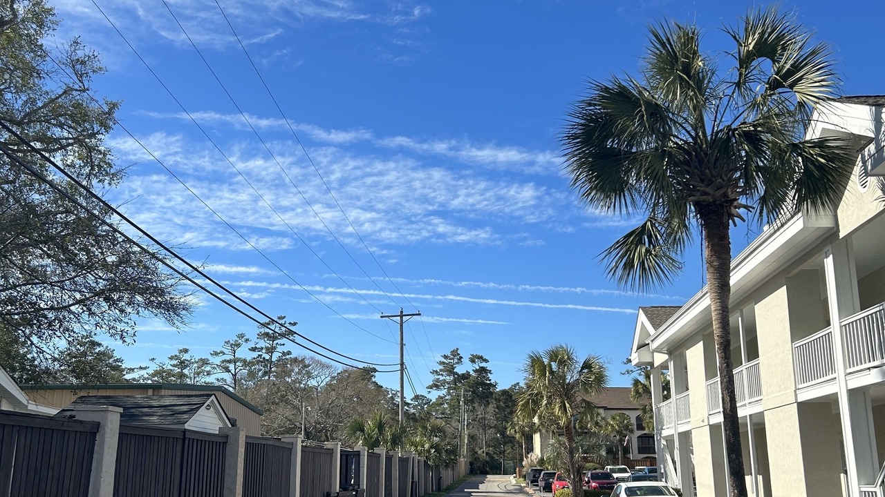 Photo of Outdoor in Arcadian Shores