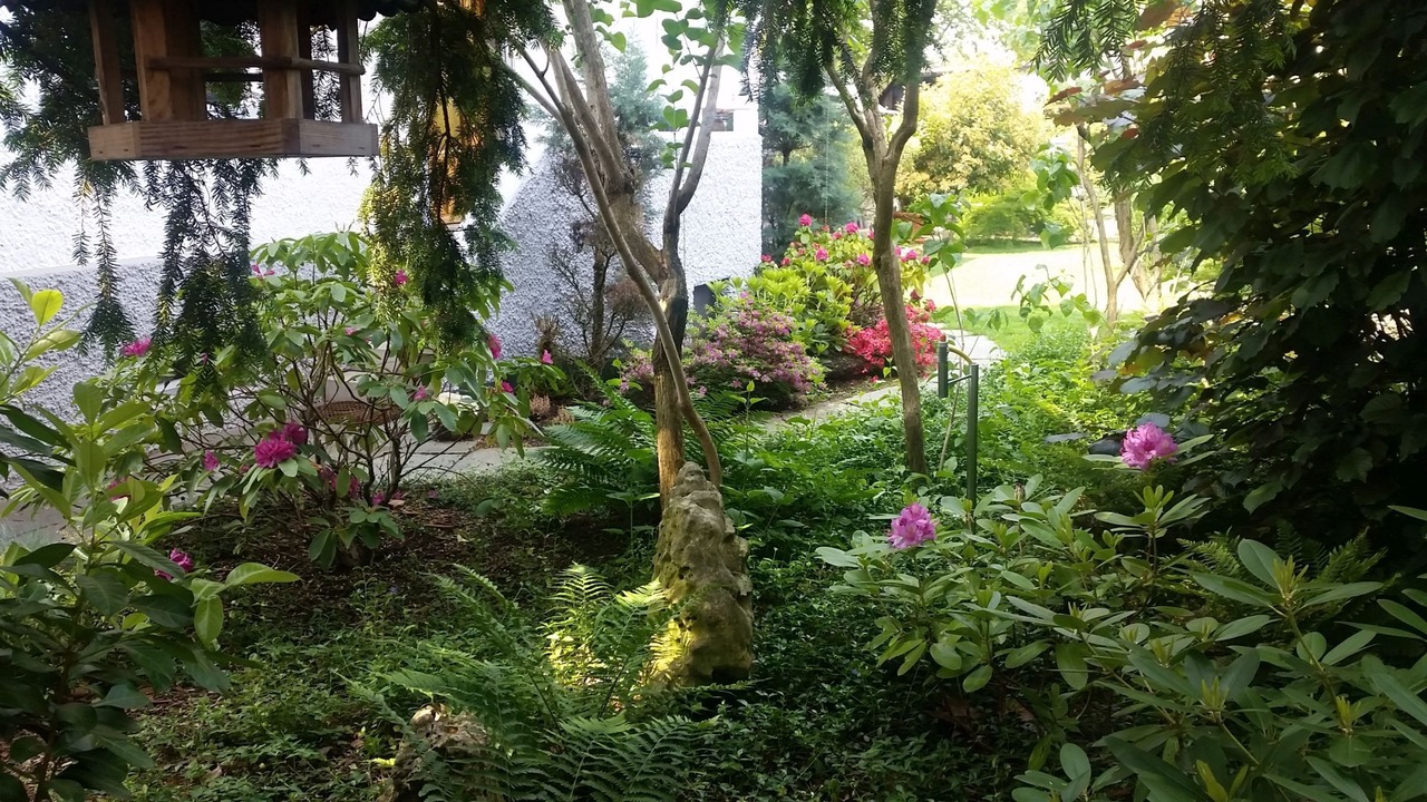 Photo of Outdoor in Weil am Rhein