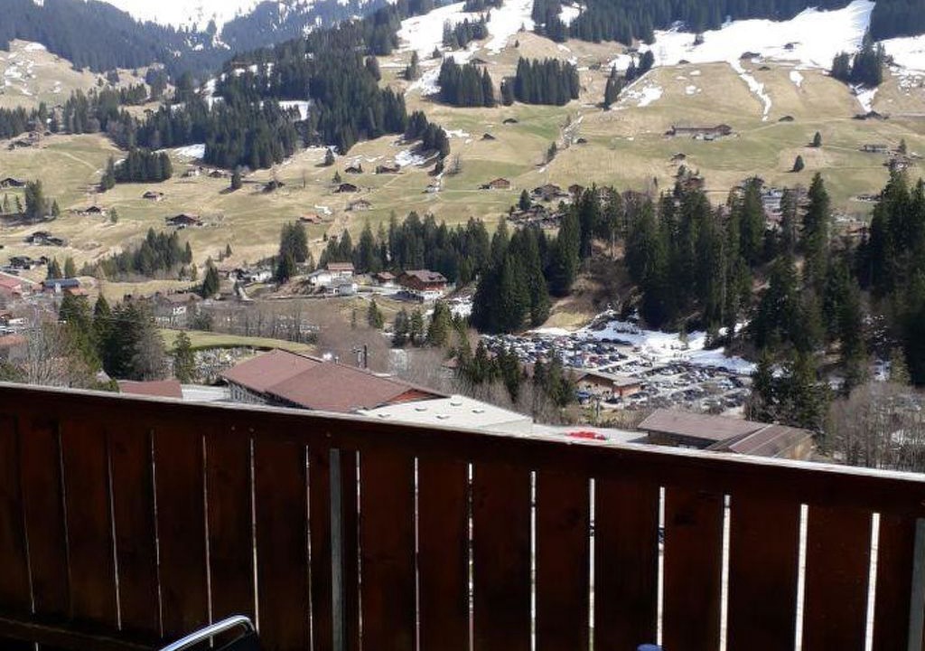 Photo of Others in Adelboden