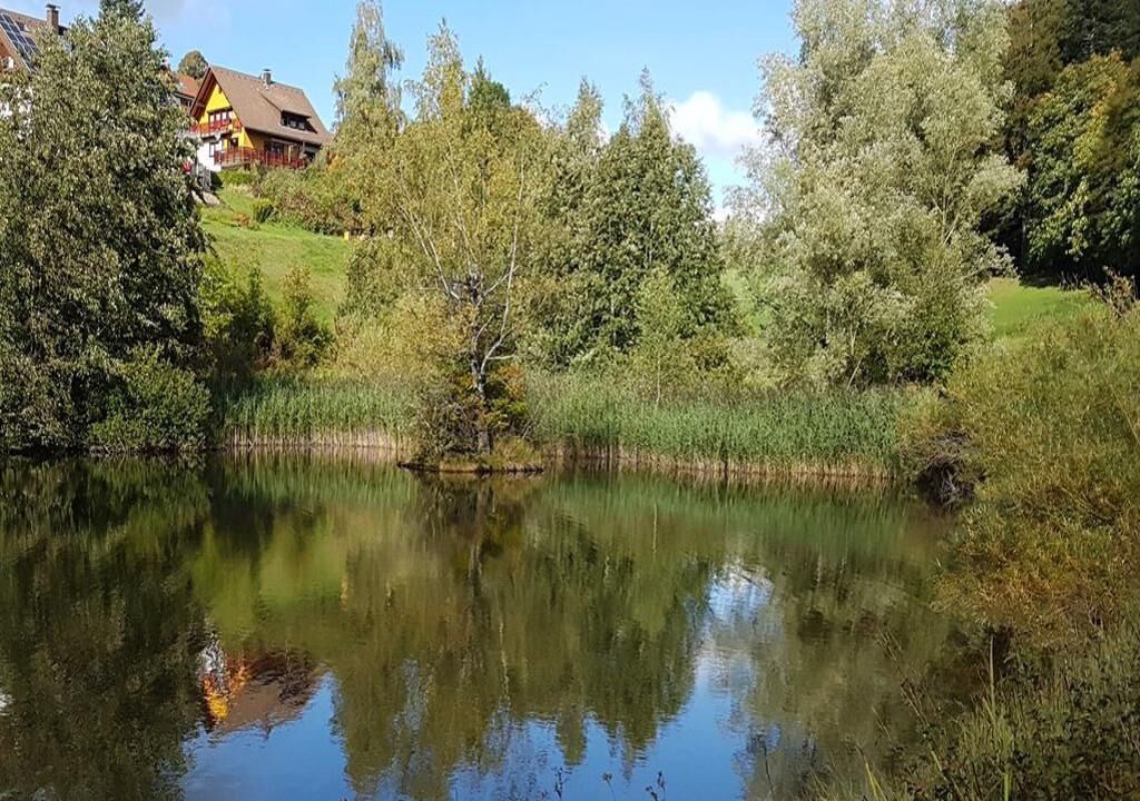 Photo of Outdoor in Sankt Maergen