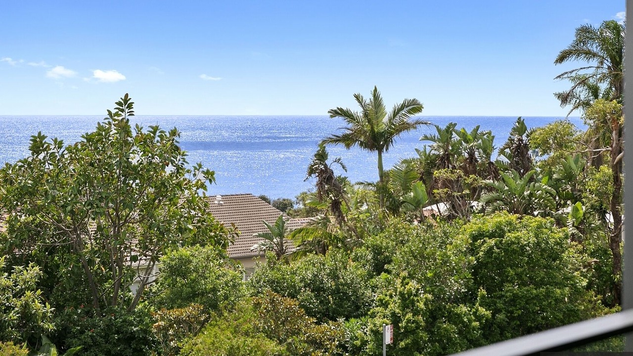 Photo of Others in Manly