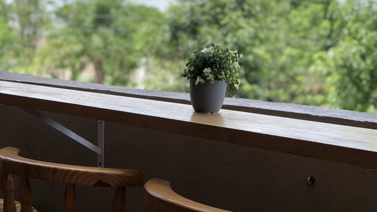 Photo of Outdoor in Zamora