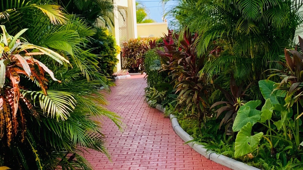 Photo of Outdoor in Hastings