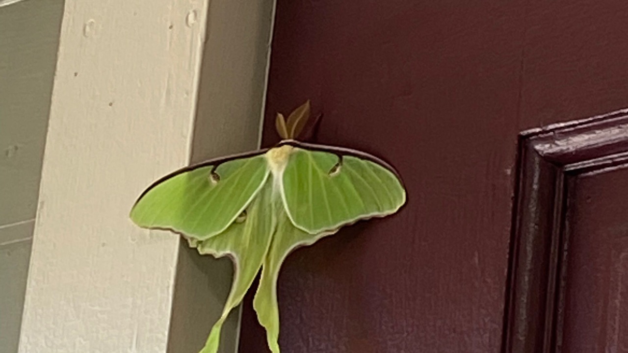Photo of Outdoor in Peru