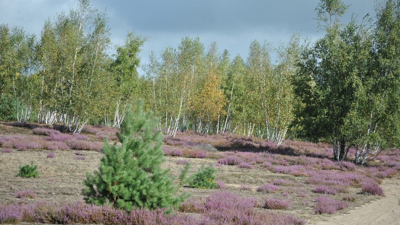 Photo of Outdoor in Bad Liebenwerda
