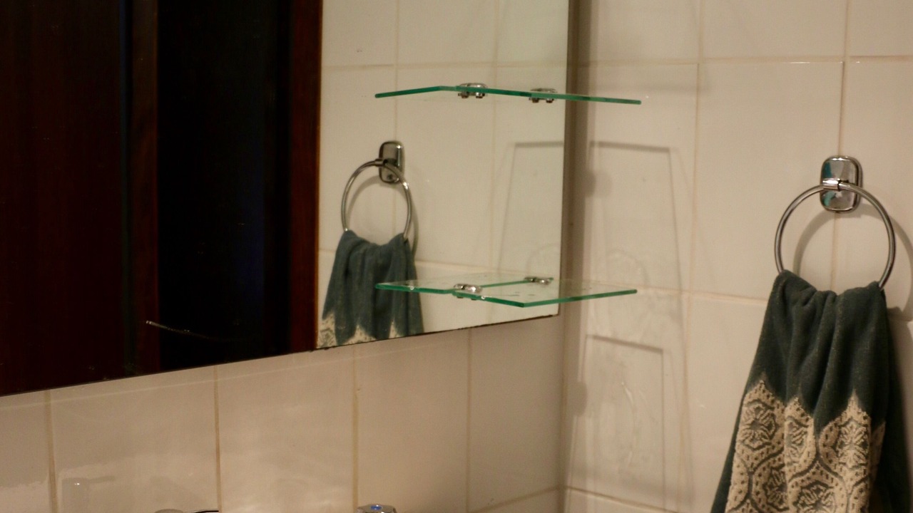 Photo of Bathroom in Pucon