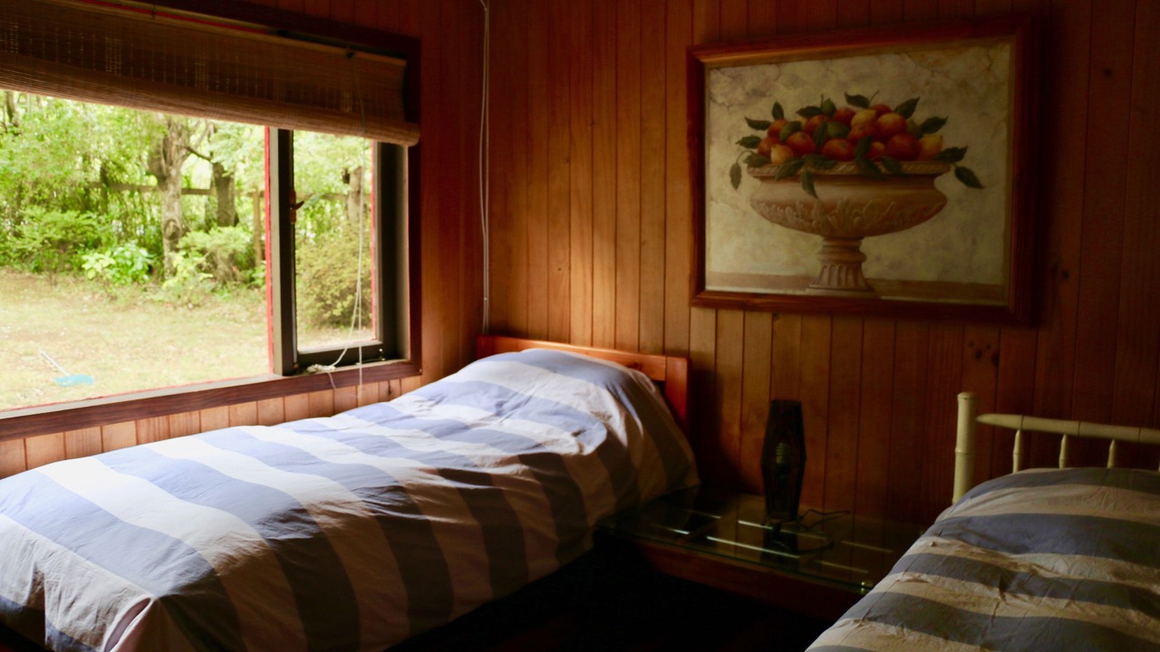 Photo of Bedroom in Pucon
