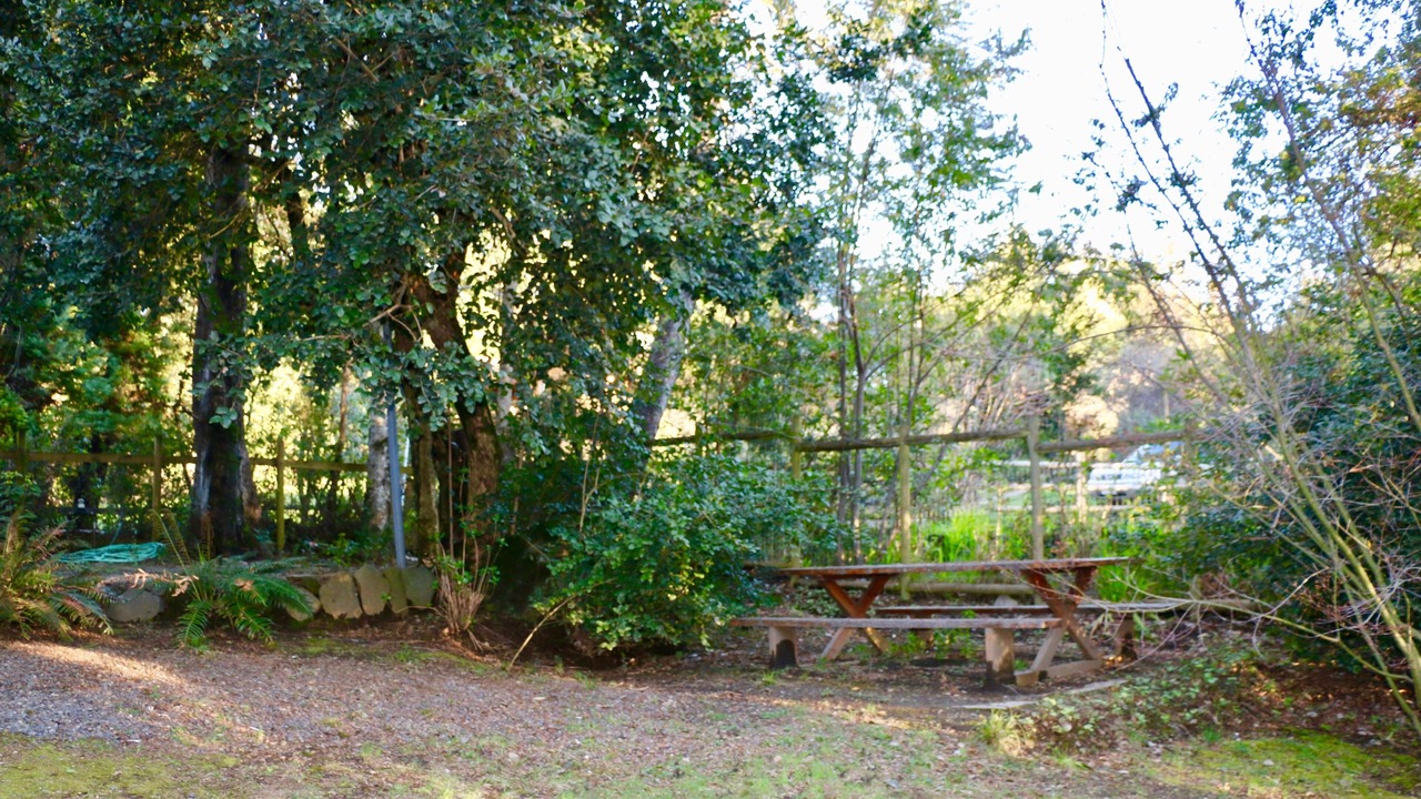 Photo of Outdoor in Pucon