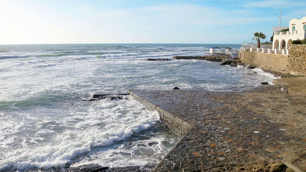 Photo of Others in Santa Marinella