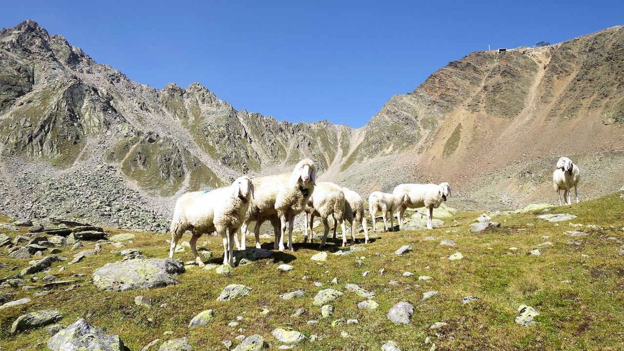 Photo of Others in Soelden