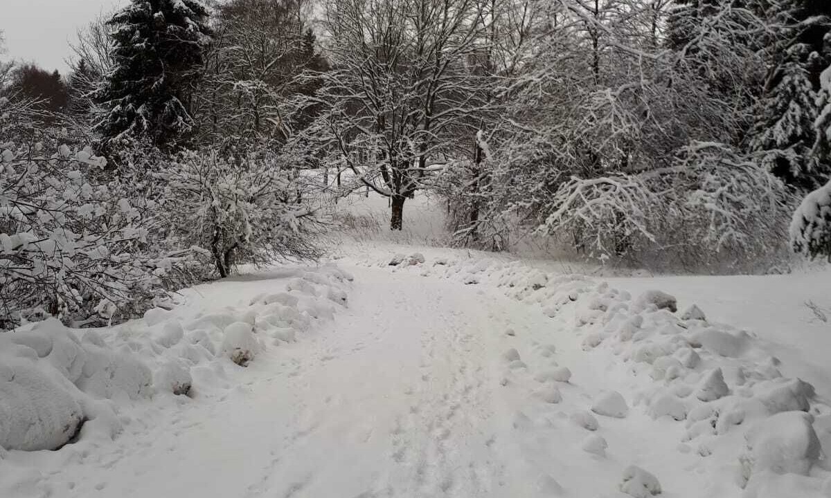 Photo of Outdoor in Silbach