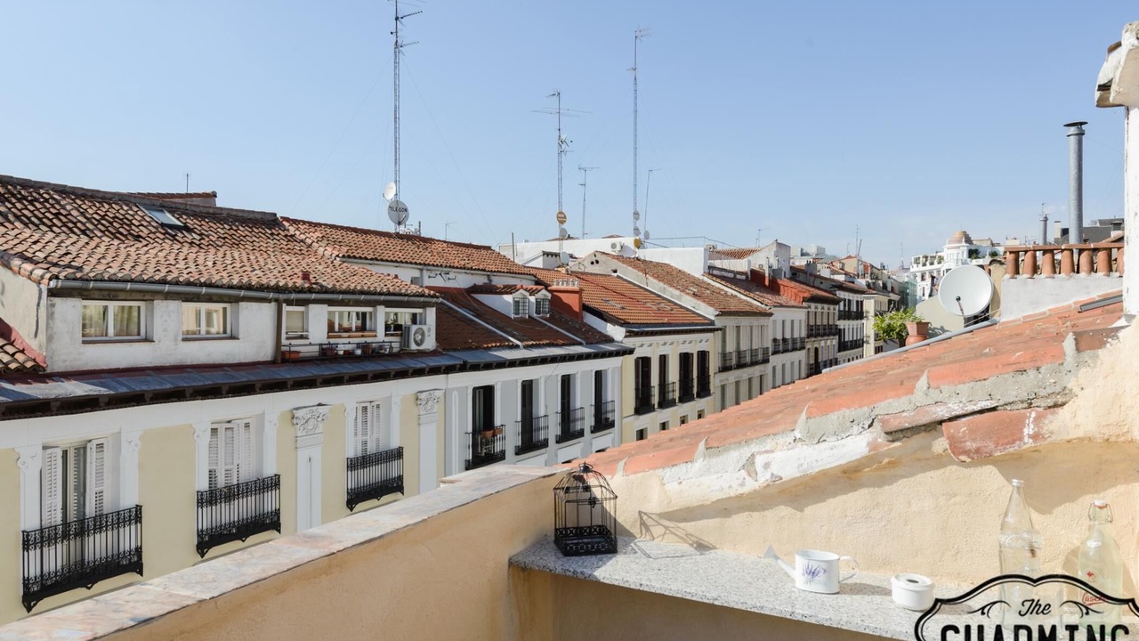 Photo of Outdoor in Justicia