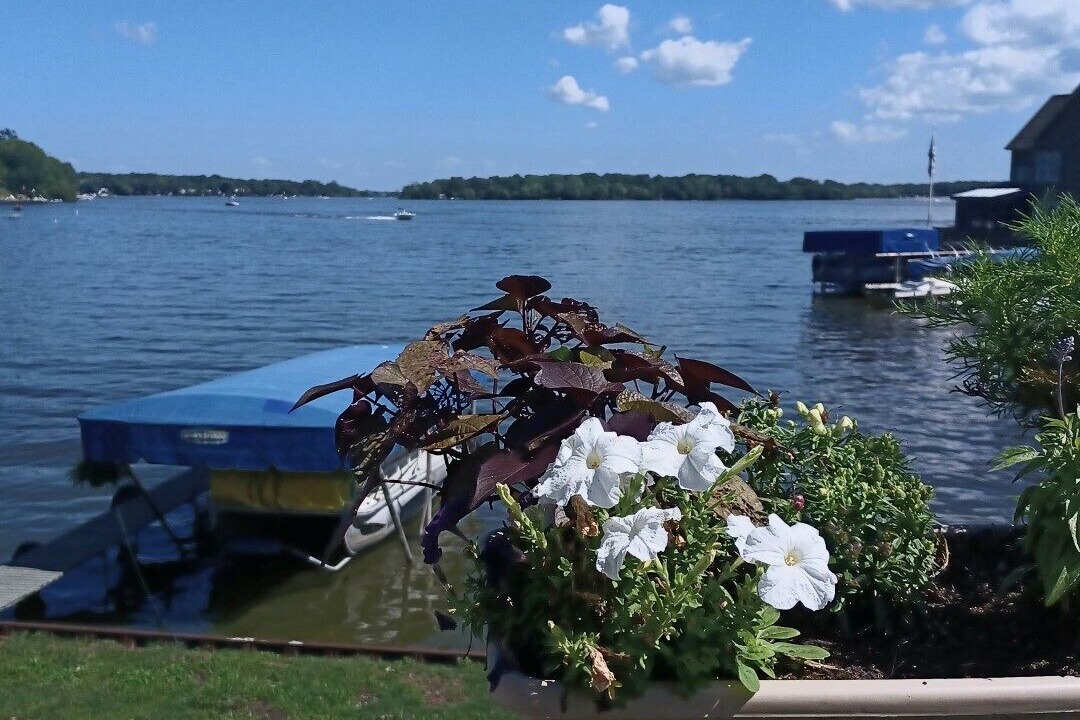 Photo of Outdoor in Fox Lake
