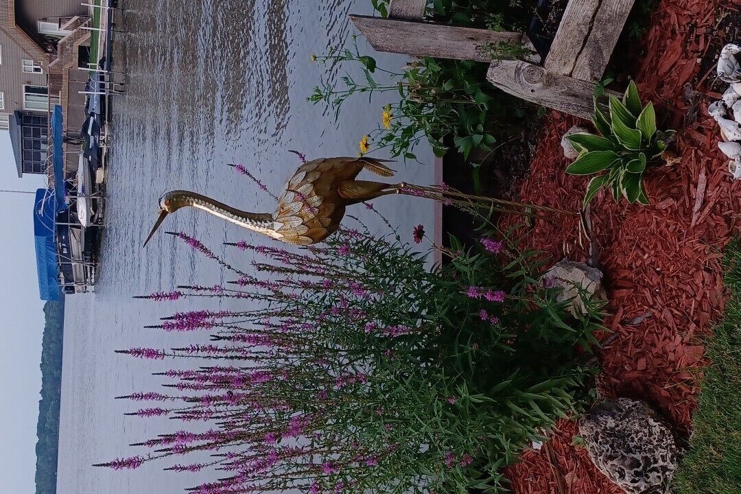 Photo of Outdoor in Fox Lake