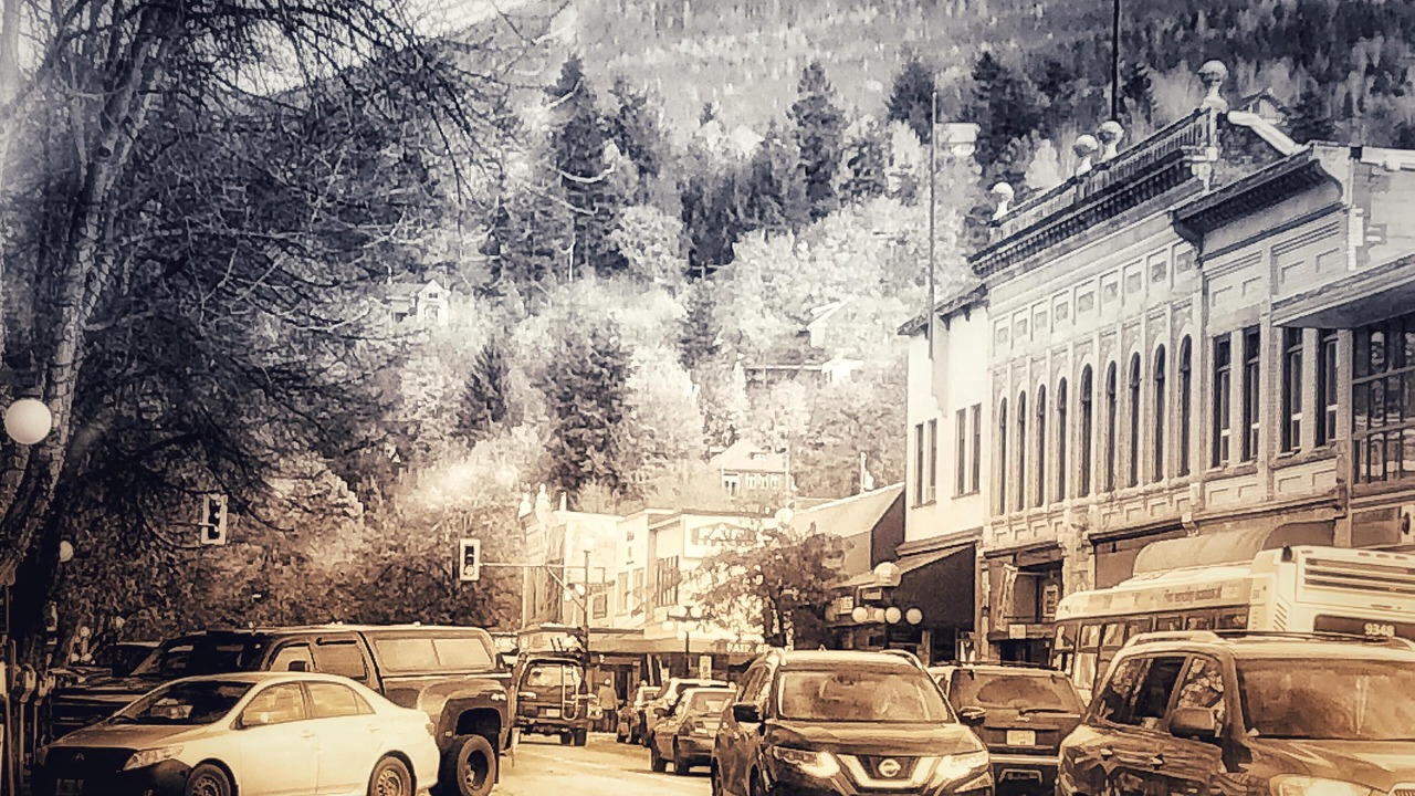 Photo of Others in Nelson