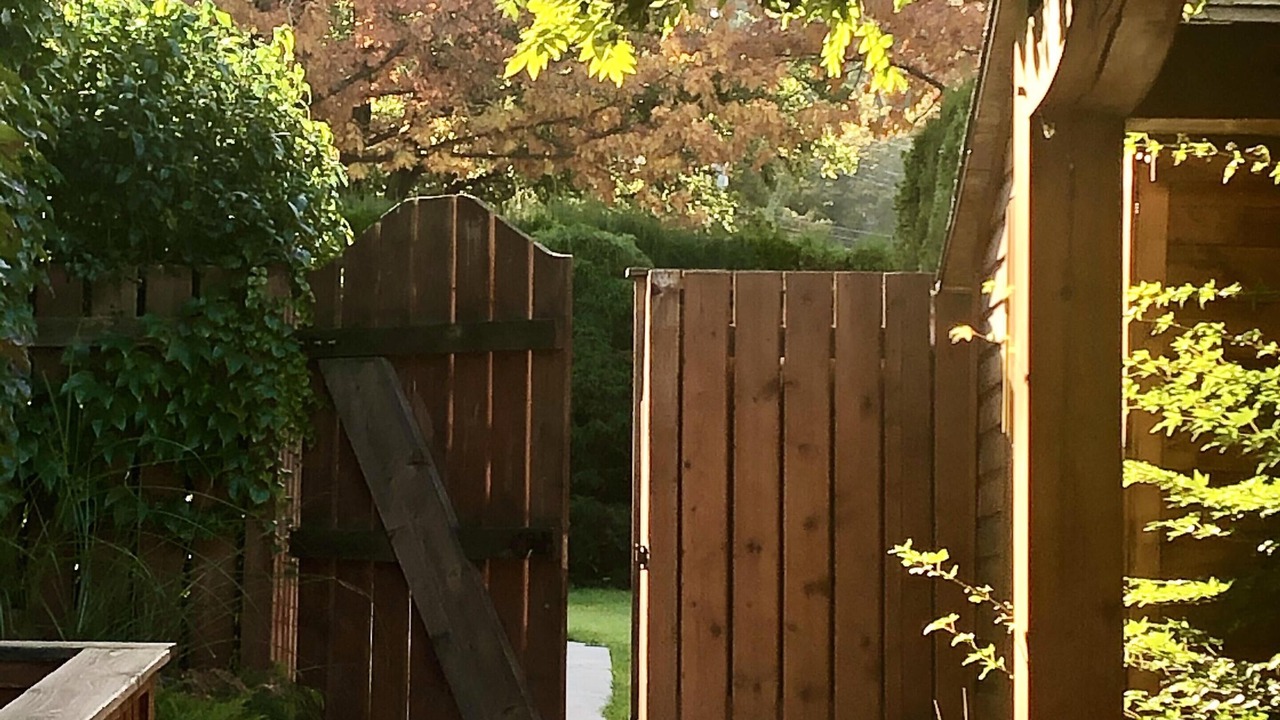 Photo of Outdoor in Nelson