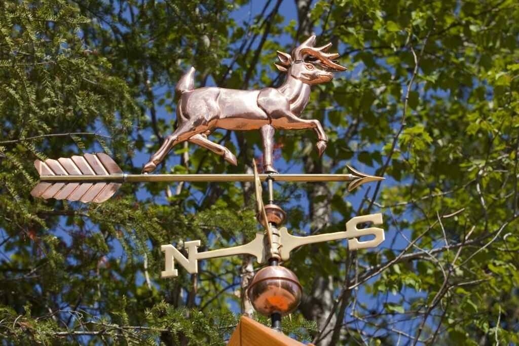 Photo of Outdoor in Petite-Riviere-Saint-Francois