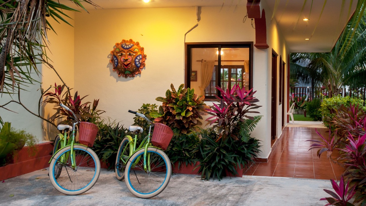 Photo of Others in Puerto Morelos