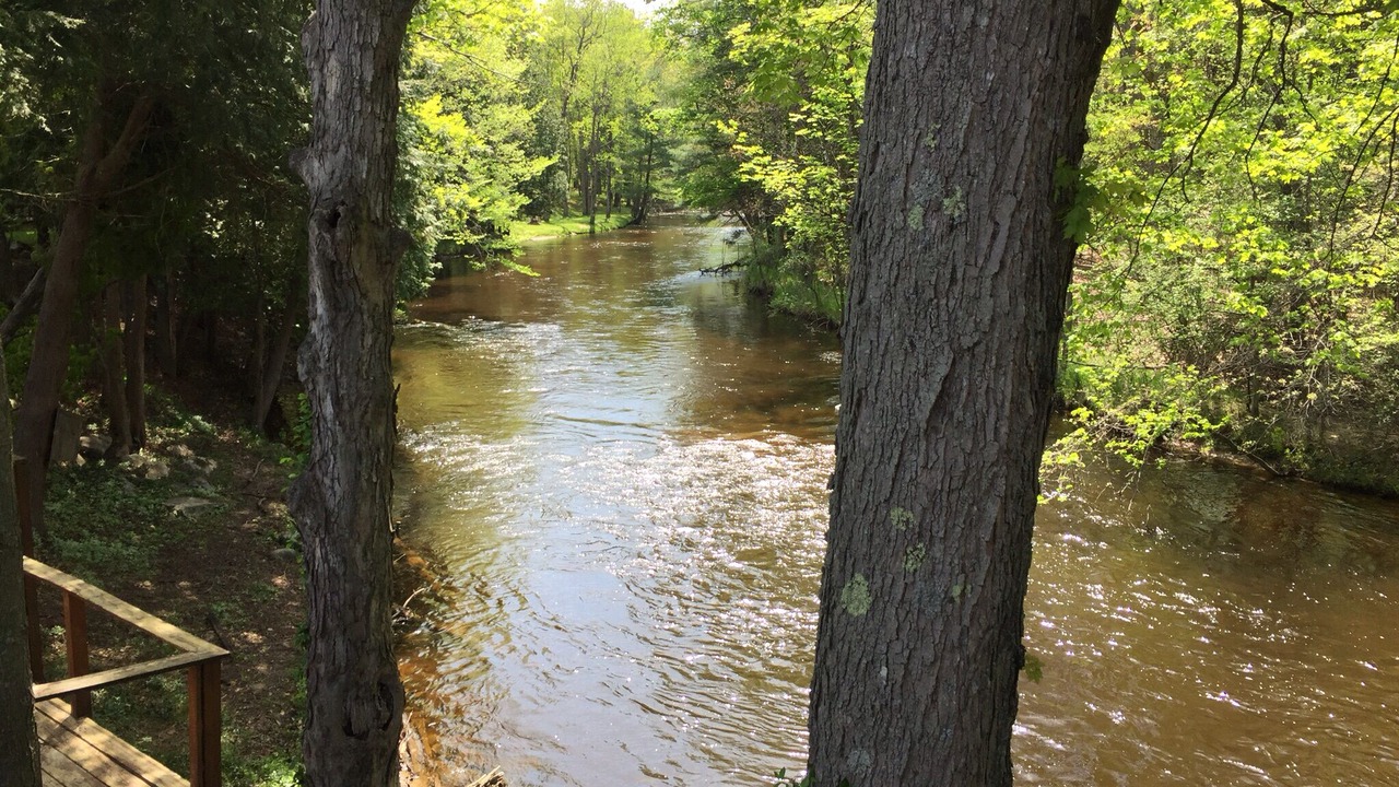 Photo of Outdoor in Branch