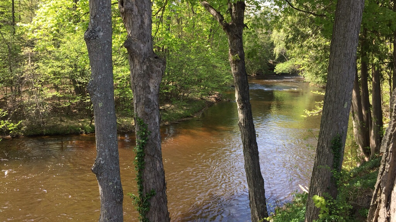 Photo of Others in Branch