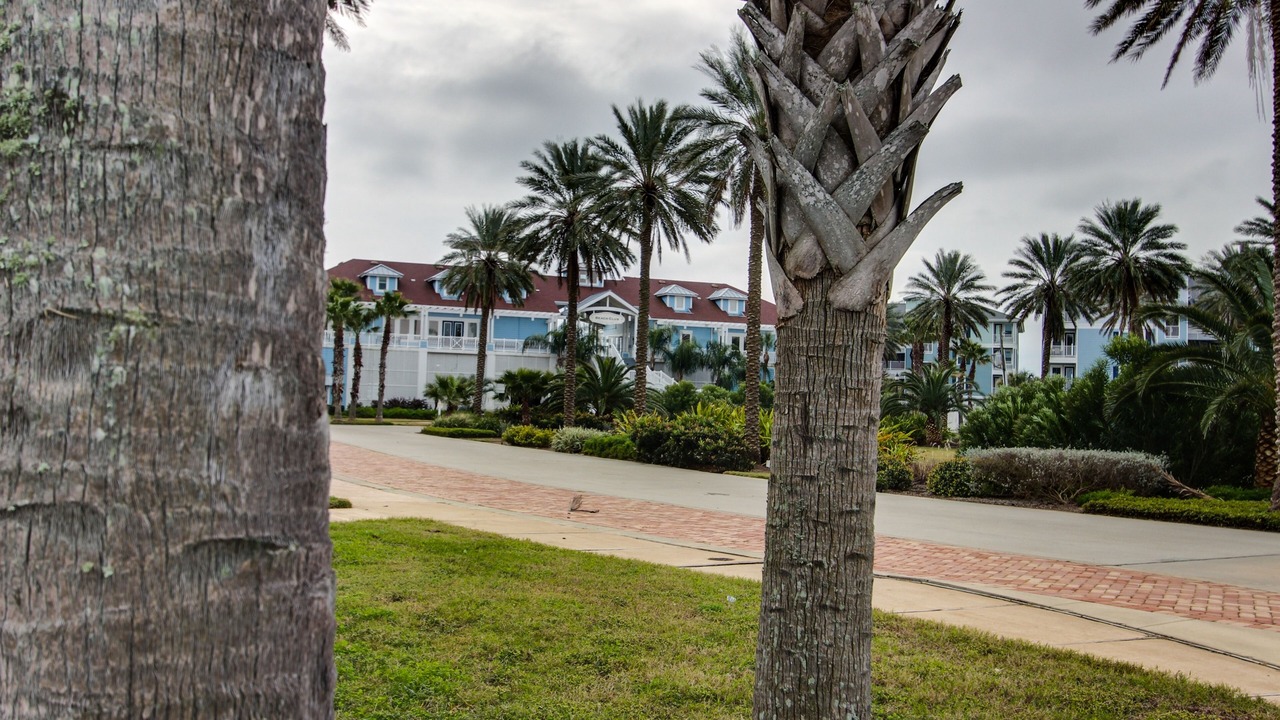 Photo of Outdoor in Red Fish Cove