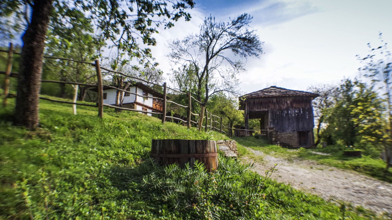 Photo of Others in Selishte