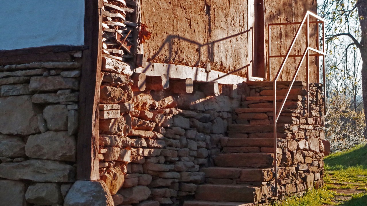 Photo of Others in Selishte