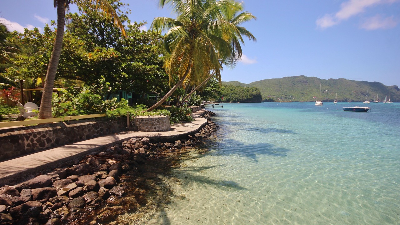 Photo of Others in Friendship Bay