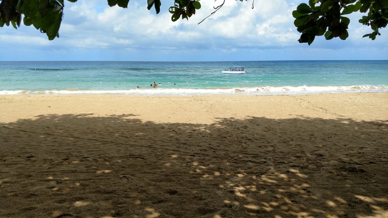 Photo of Others in Runaway Bay