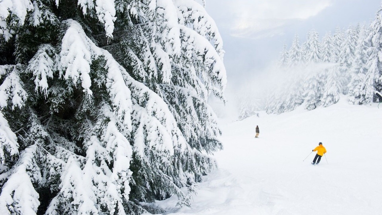 Photo of Others in Blackcomb