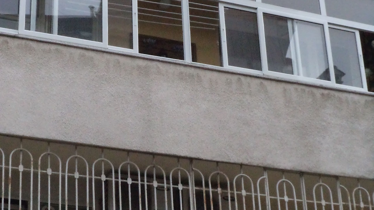 Photo of Others in Odesos