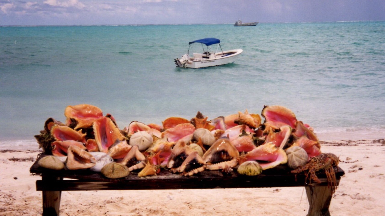 Photo of Others in Bambarra