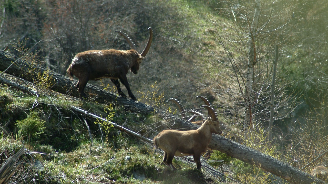 Photo of Outdoor in Ried im Oberinntal