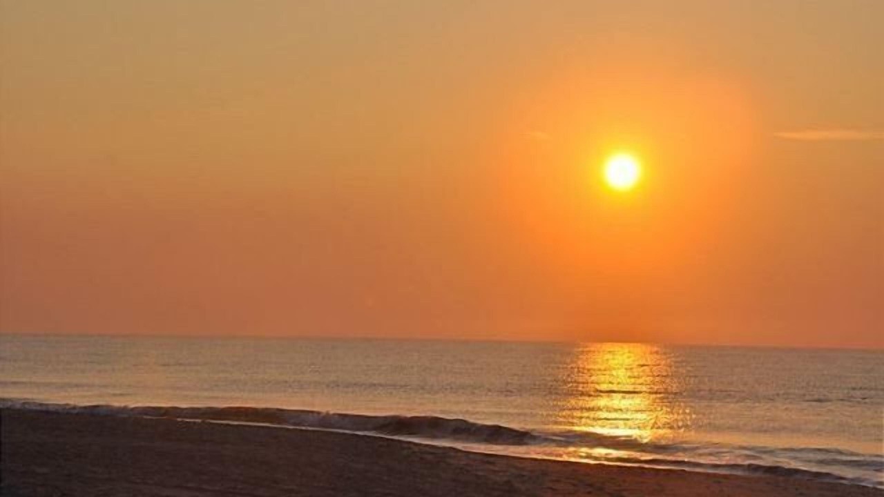 Photo of Others in Myrtle Beach