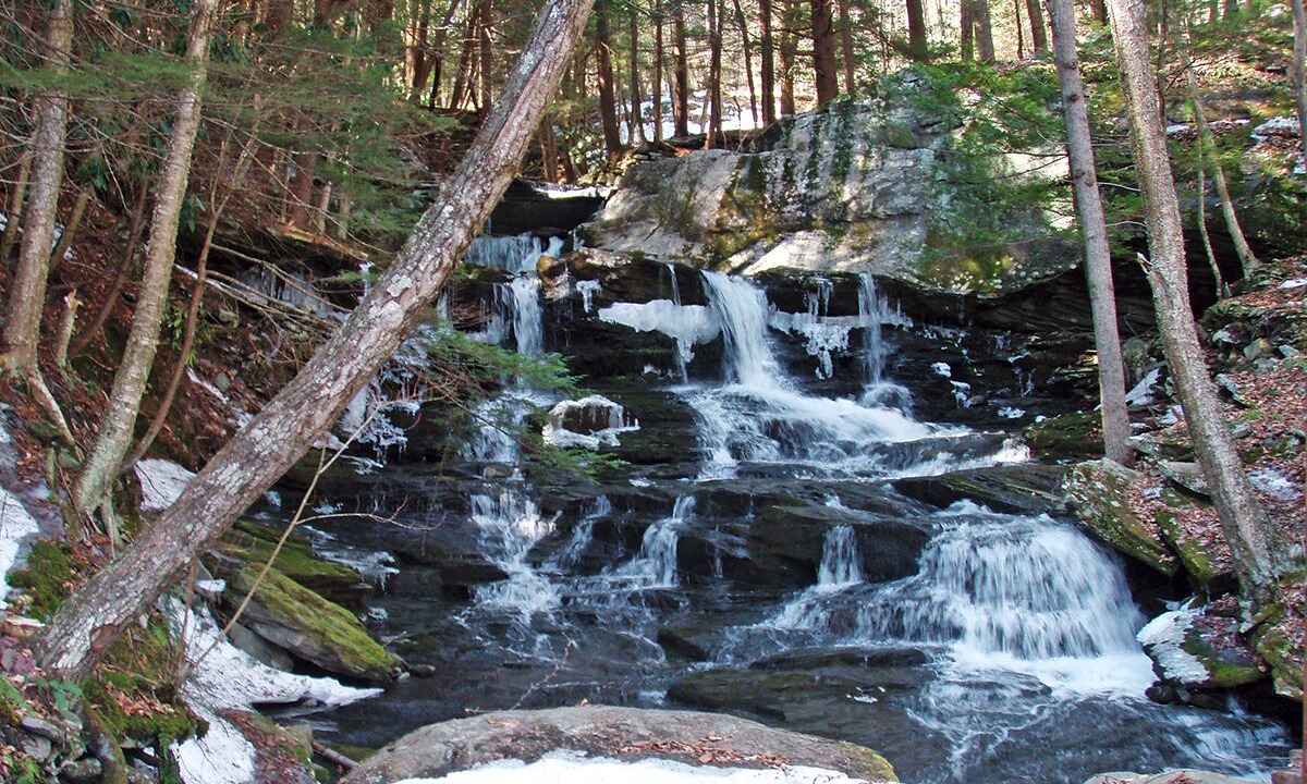 Photo of Others in Callicoon